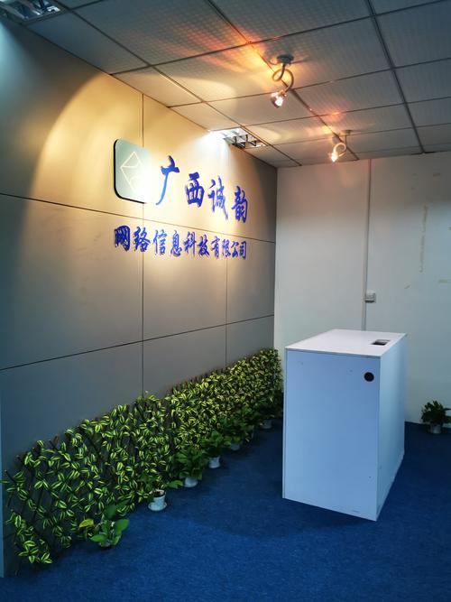广西南宁网络公司，网络时代的机遇与选择