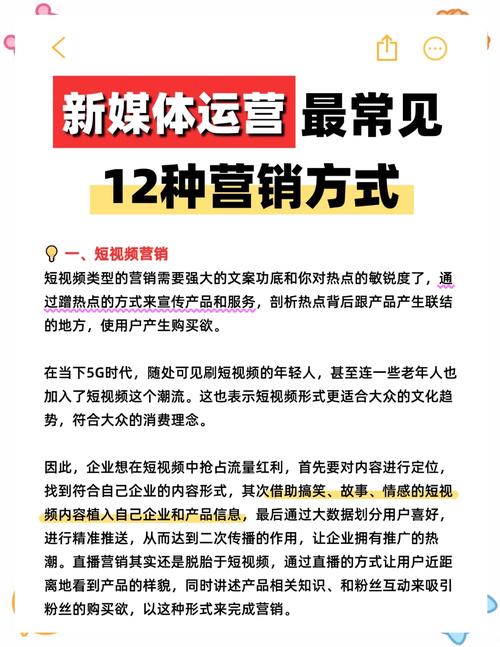 如何成功进行自媒体营销，启航SEO优化与精准推广指南