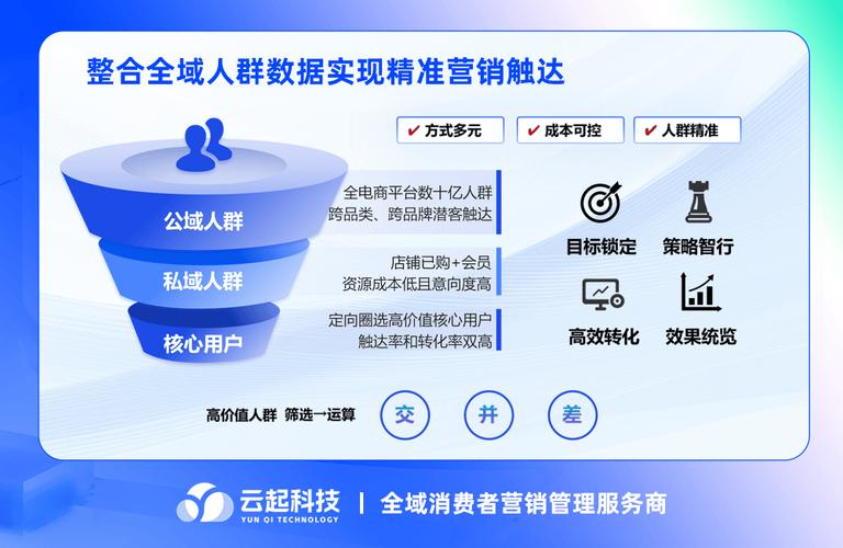 网络广告策略，精准触达与高效转化