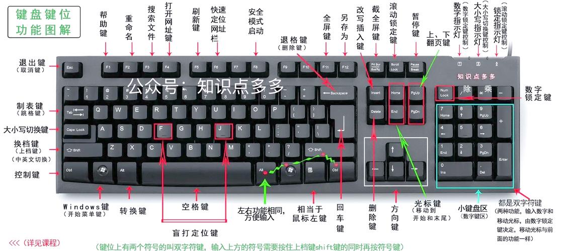 键盘指法入门指南，掌握这些细节，让键盘成为你的得力助手