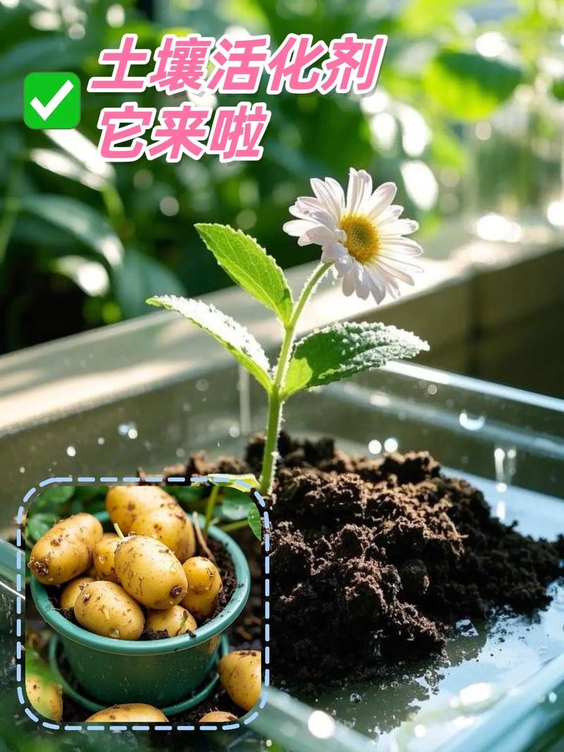 如何让抖音成为你的生根发芽的土壤?