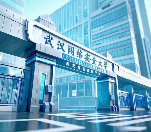 武汉网络公司，行业发展与未来展望
