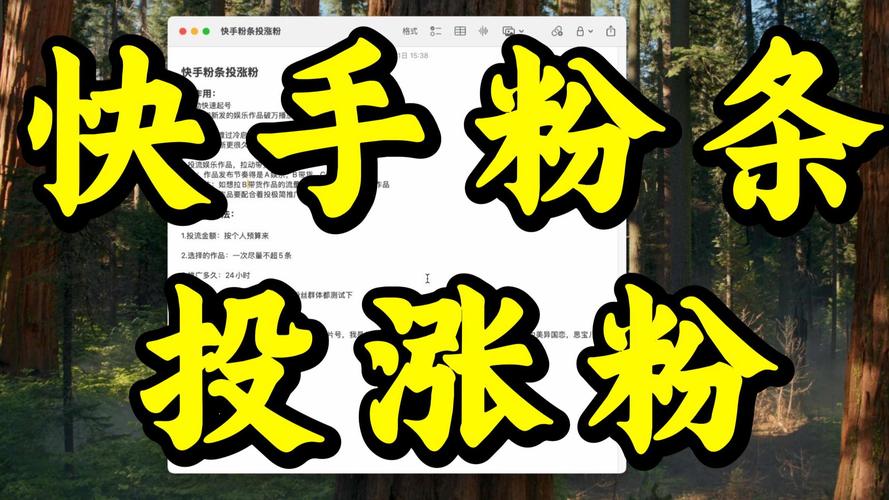 粉丝粉与快刷评论，快手业务增长的关键驱动力