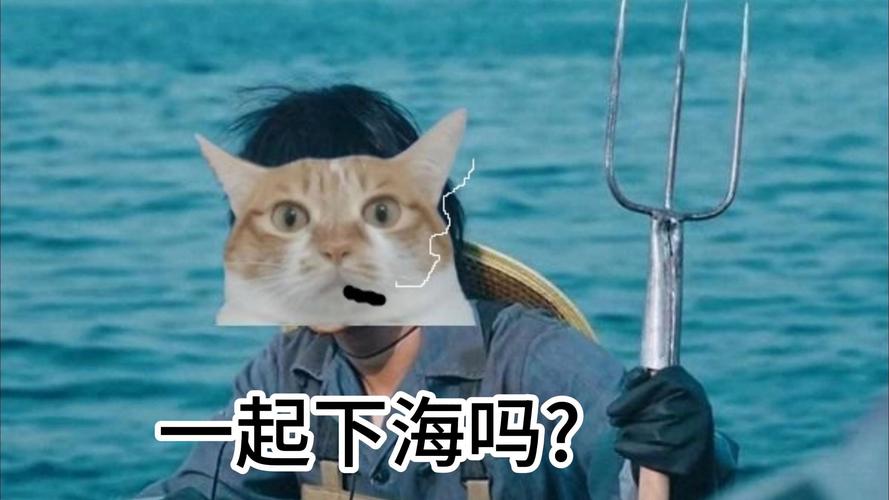 网络用语红海,指什么,别被误解了!