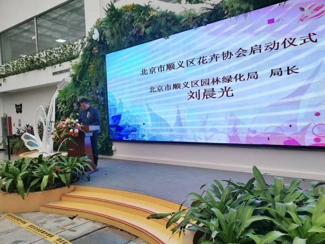 顺义协会,开启社交新平台,打造网络影响力