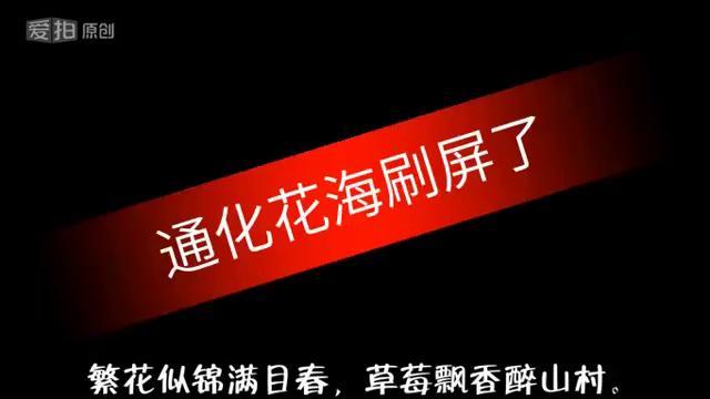 快手刷屏秒到与QQ支付，数据采集与自助下单的创新实践