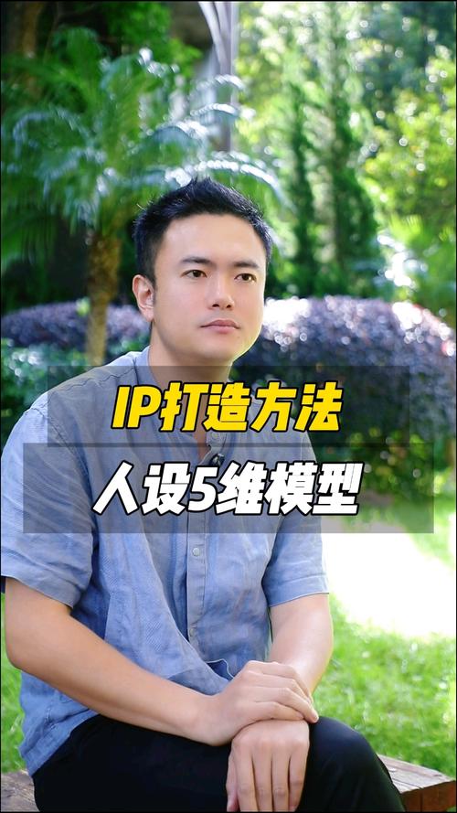 昆明网络平台设计师，明星效应与IP魅力