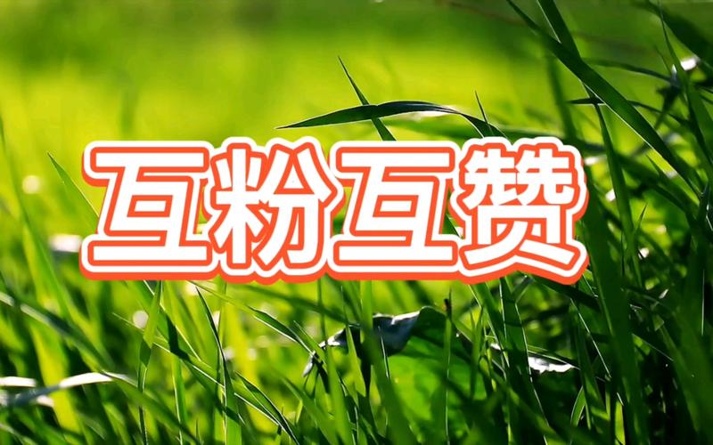 快手一元秒1个赞，ks互赞互粉，这个软件真的不亏！