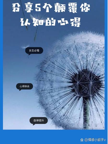 高效刷刷，抖音、dy空间两不误！