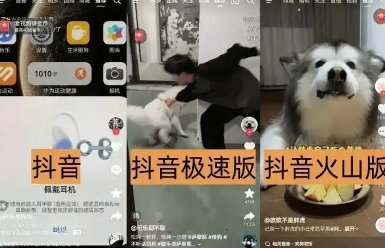 抖音刷赞的两平台，如何让你的短视频更受欢迎？
