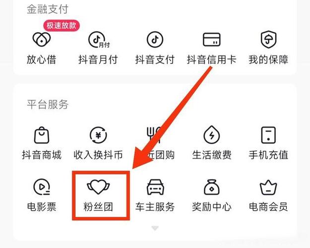 一、抖音粉丝代的重要性