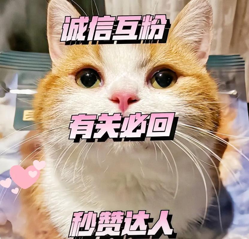 快手播放秒到与抖音互赞，打开品牌影响力的新钥匙