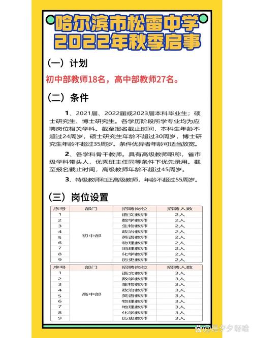 哈尔滨网络优化招聘指南