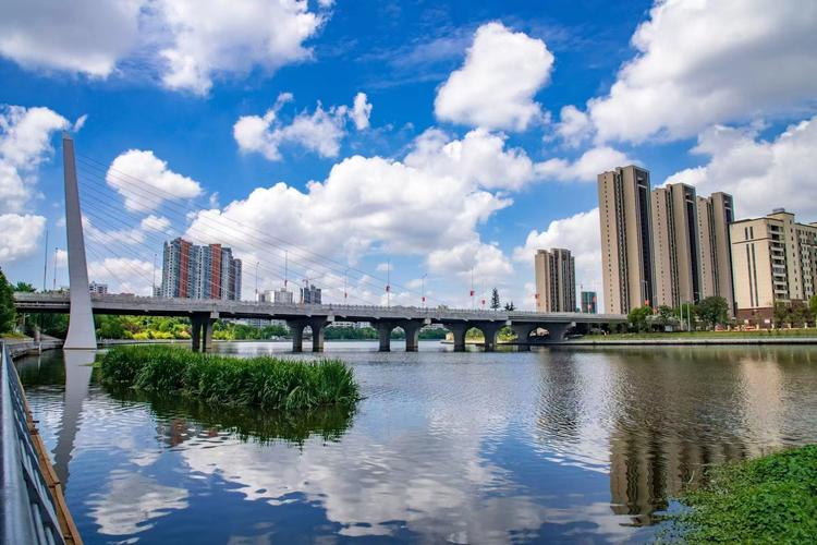 什么是枣阳网站建设？