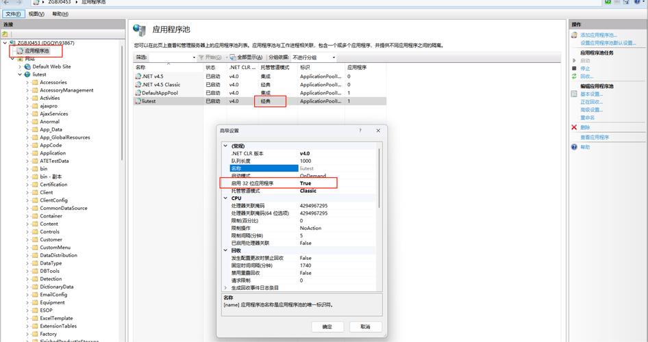 IIS 服务器搭建指南