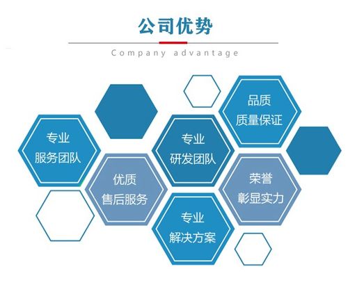 一、公司背景与优势