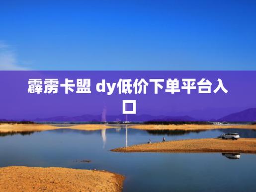 1.了解dy卡盟网站的基本信息