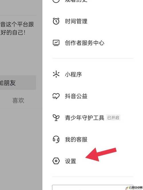 抖音小号播放量管理指南，如何记录、管理和保护你的播放量数据