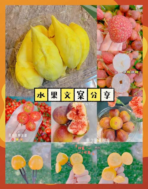 水果网络流行语，生活中的瞬间真相