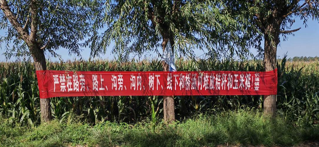 横幅的重要性,让网站更高效,更吸引人