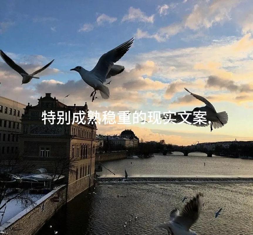 218抖音播放量背后的热评革命,热评背后的 clicked与推荐