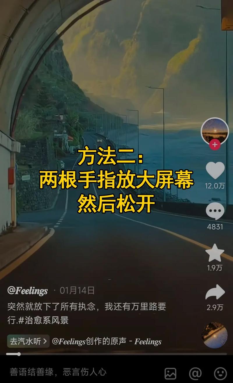 抖音刷屏技巧，墨言元刷播放量1万！