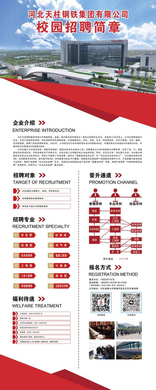 网站建设与招聘，构建高效人才获取生态