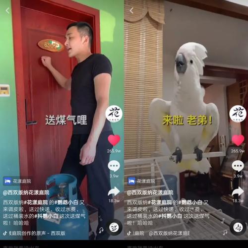 抖音点赞送24小时，播放量到底会如何？