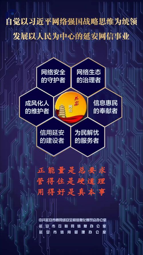 衡水网络监察，重塑社会秩序的无声力量