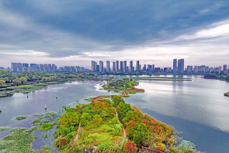 东海，一个充满历史与未来的现代化之旅