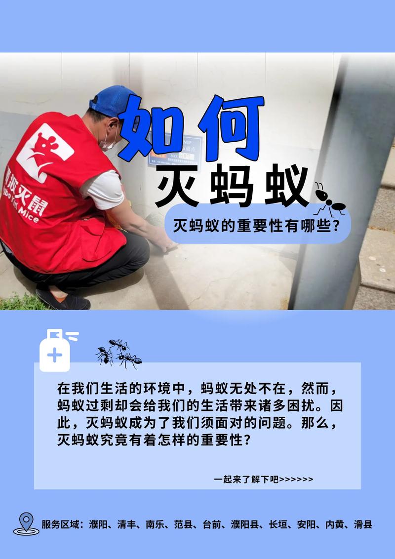 勾勒出你的流量密码，抖音免费双击，ks业务全网最低蚂蚁