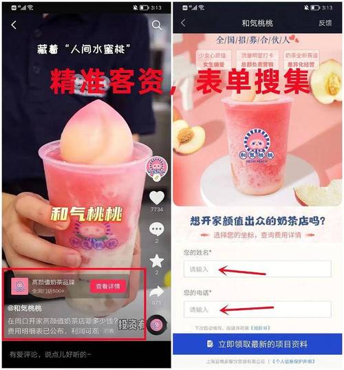 抖音活粉秒到与代网平台，高效获取流量与订单的指南