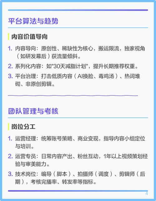抖音代网平台解析与优化指南