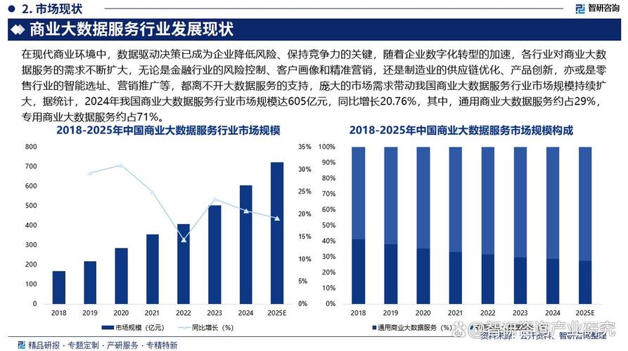 网络服务行业，机遇与挑战的全面解析