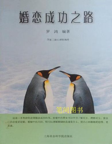 婚恋网站，从概念到成功之路