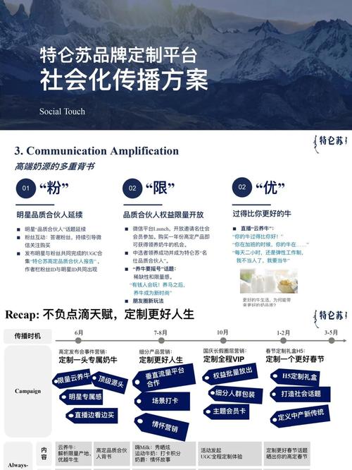 网络品牌推广策略指南