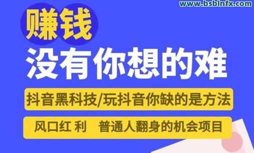 抖音免费自助下单平台，让 KS 粉们轻松获取流量