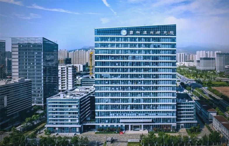 温州市专业网站建设，助力城市高质量发展