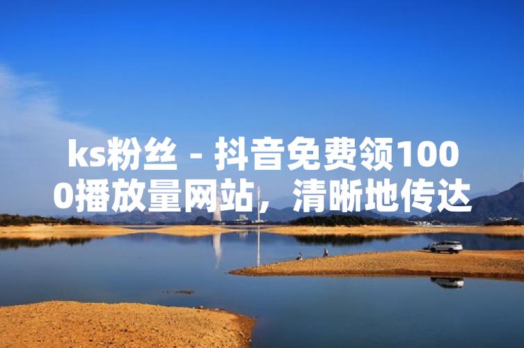 如何高效定位目标用户？抖音业务代网站、抖音播放量软件与ks业务代网，你值得知道的！