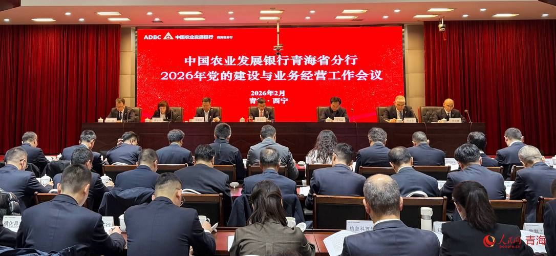 青海网站建设，机遇与挑战的双重策略