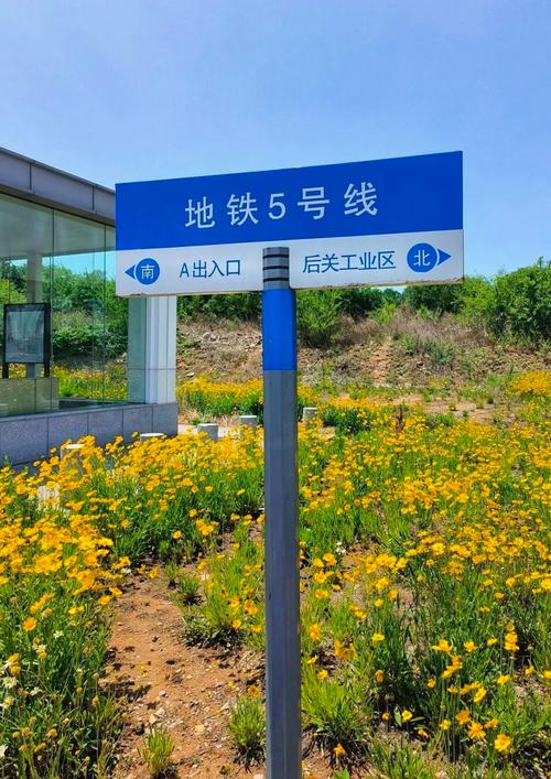 大连站建设指南，如何打造吸引人的站