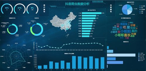 抖音用户数量变化分析，过浏览量与互播量的对比与启示
