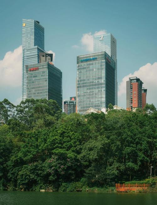 南宁网站网络公司，选择到坚持的完美风景