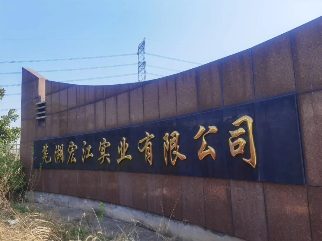 芜湖网站建设公司