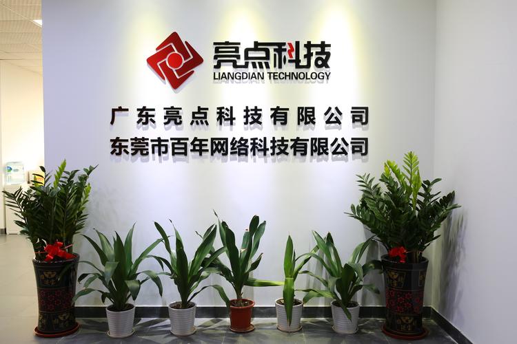 东莞网络公司，技术与服务的完美结合