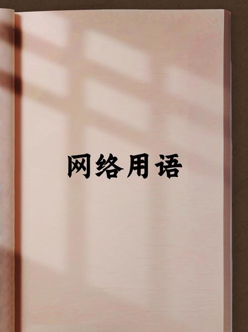 网络用语，你的指南来了！