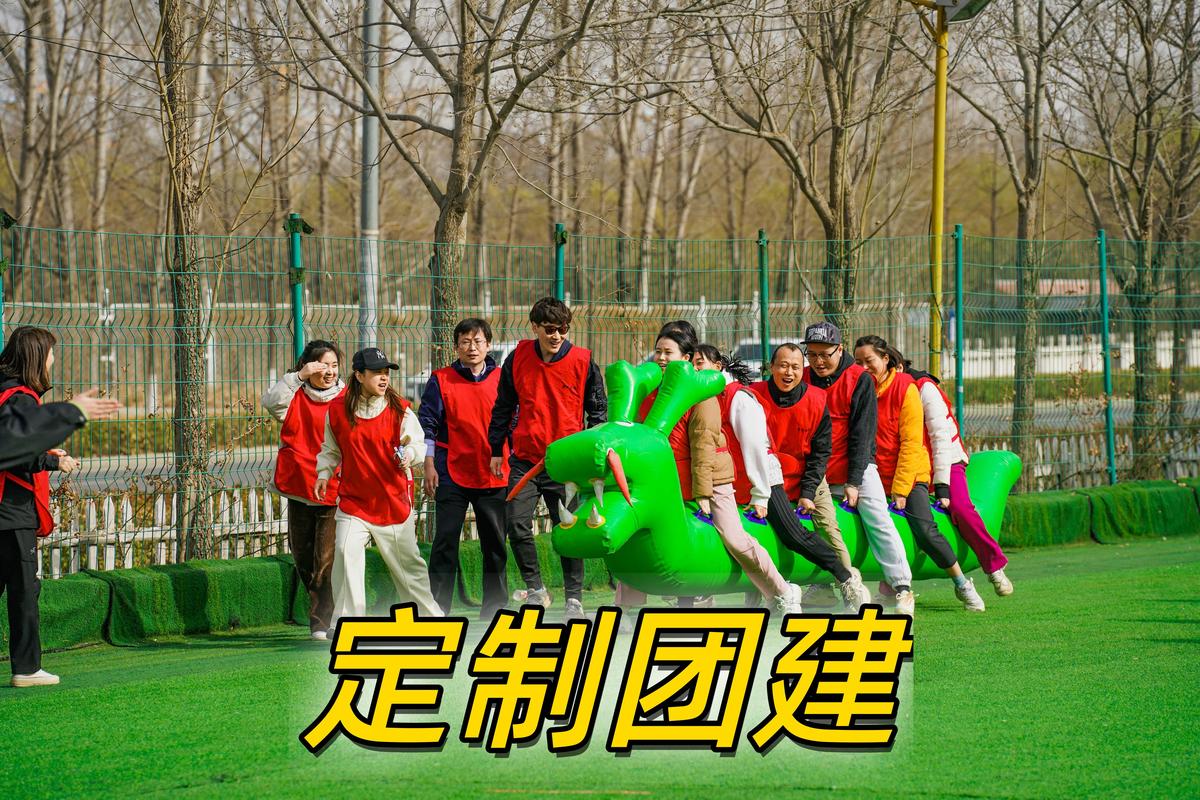 专业的团队建设