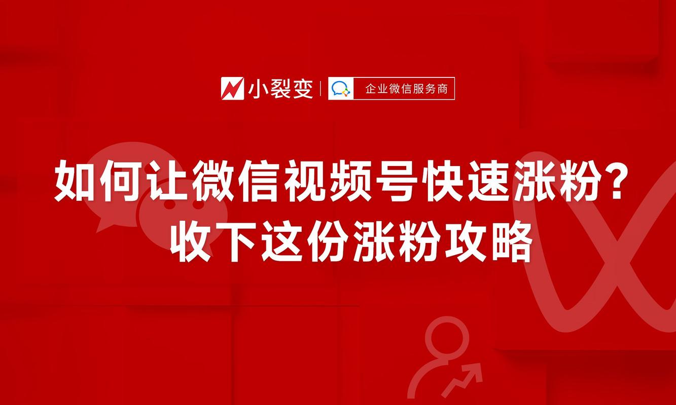 讲座，快手自助涨粉攻略，秒杀活动如何让你的视频更受欢迎？