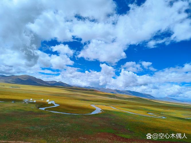 玉树，风景与公司的完美融合