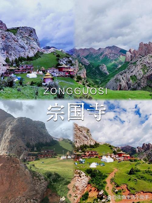玉树,风景与公司的完美融合